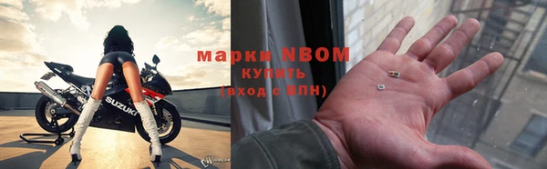 ешки Тайга