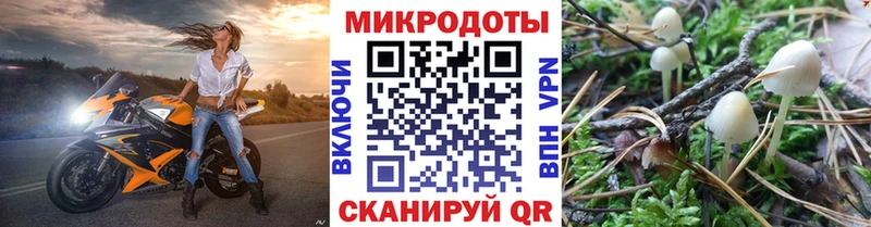 МЕГА рабочий сайт  Валуйки  Псилоцибиновые грибы Psilocybine cubensis 