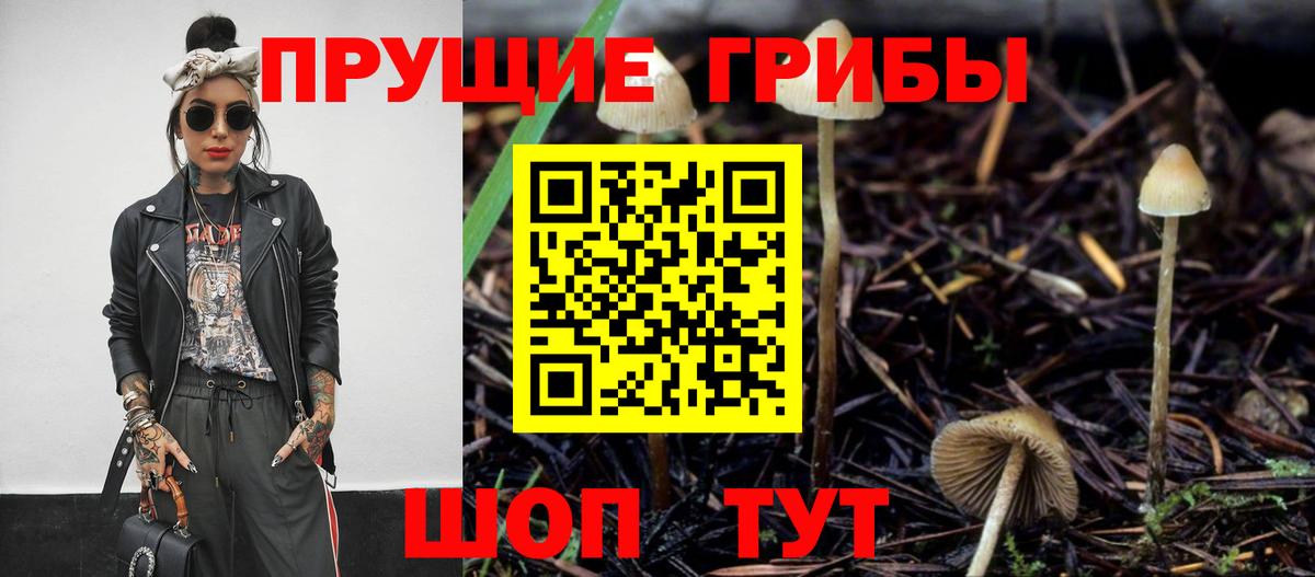 Галлюциногенные грибы Cubensis  Псилоцибиновые грибы мухоморы  Вход с VPN  Валуйки 